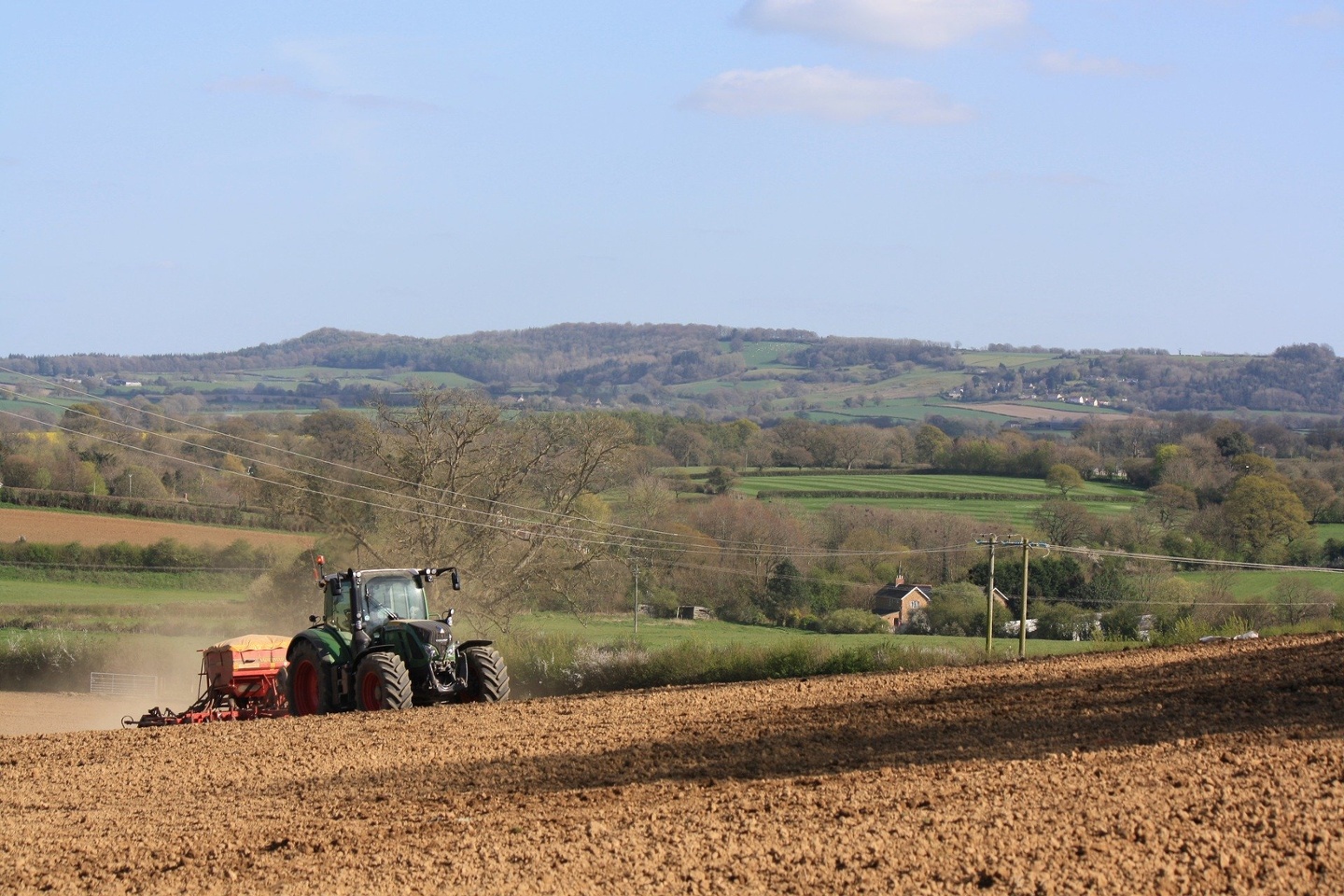 Sowing wheat in a field