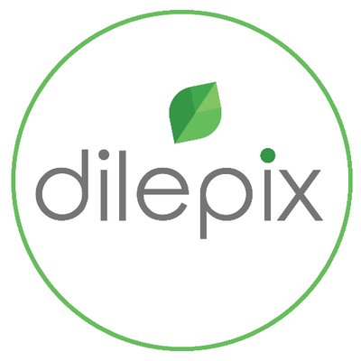 Photo de The Dilepix team