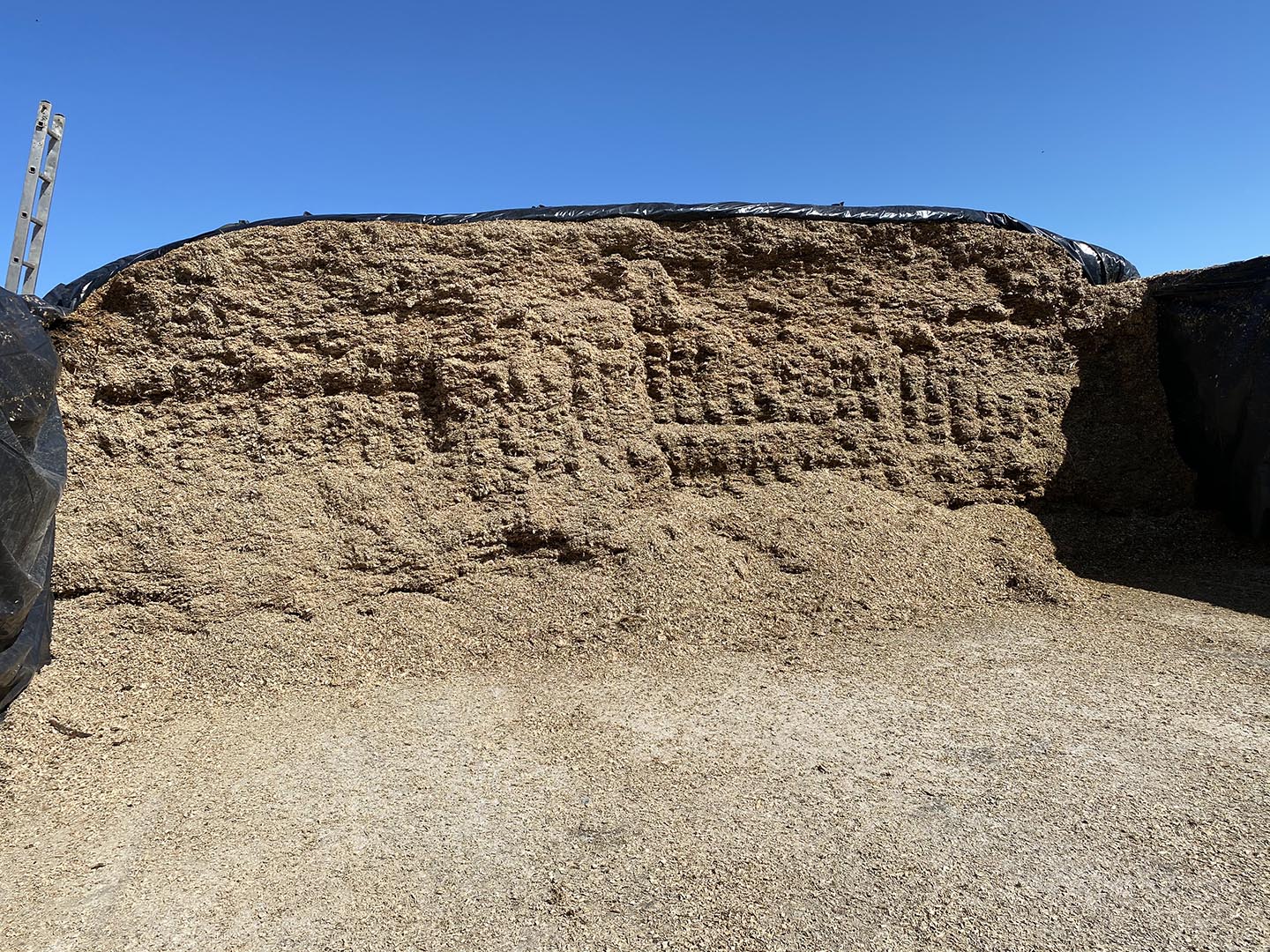 Storage of a manure pile