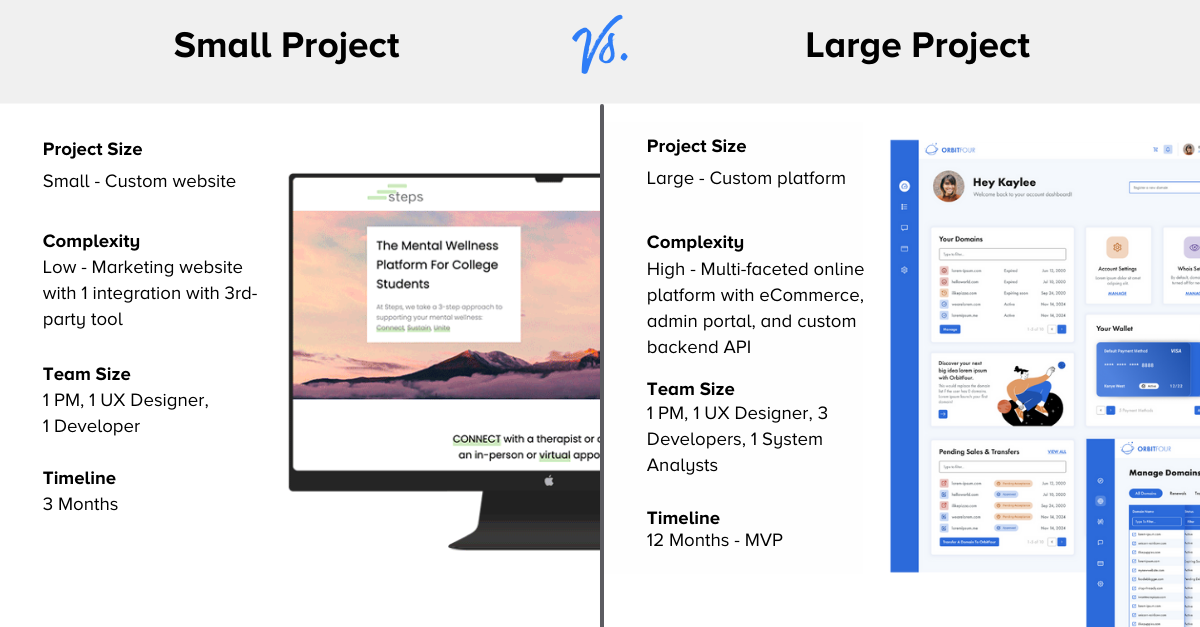 Small vs Large Custom Software Project