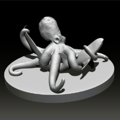 Photo du projet de Camille Gangneux