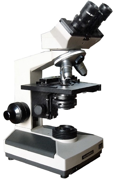 Microscope