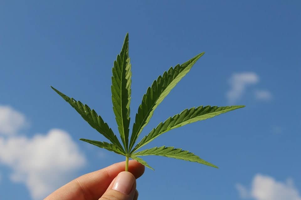CBD