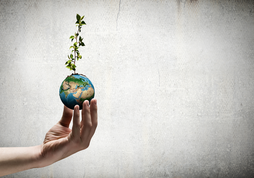 Close up of human hand holding sprout. Elements of this image are furnished by NASA