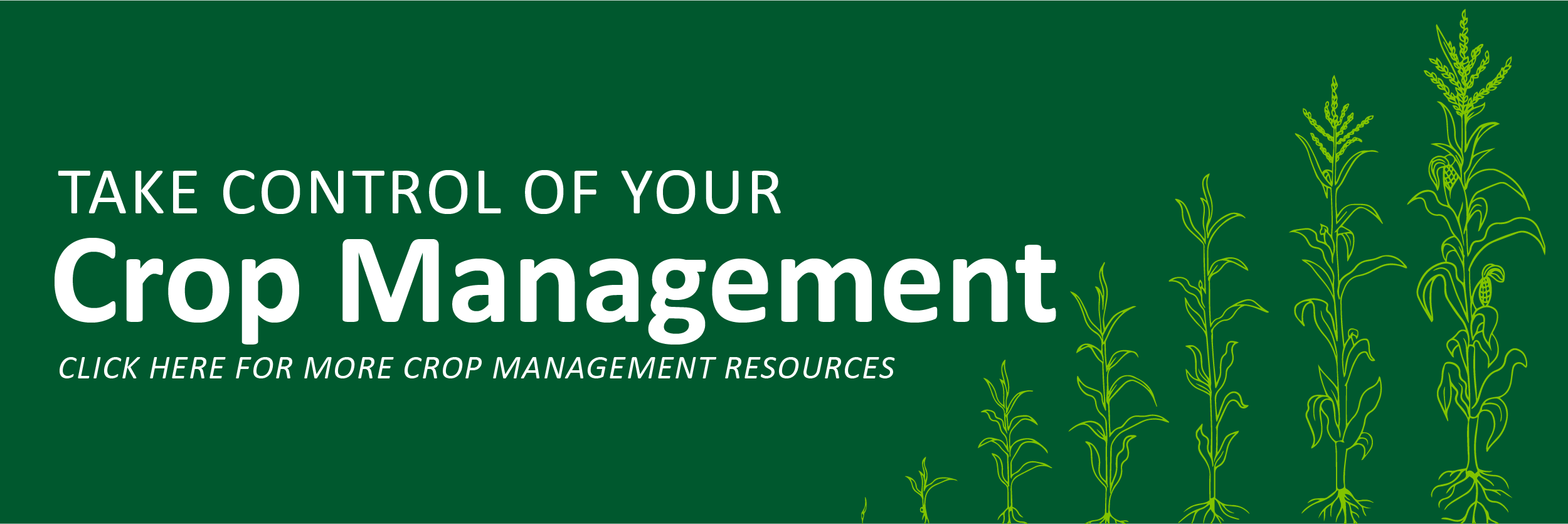 crop management