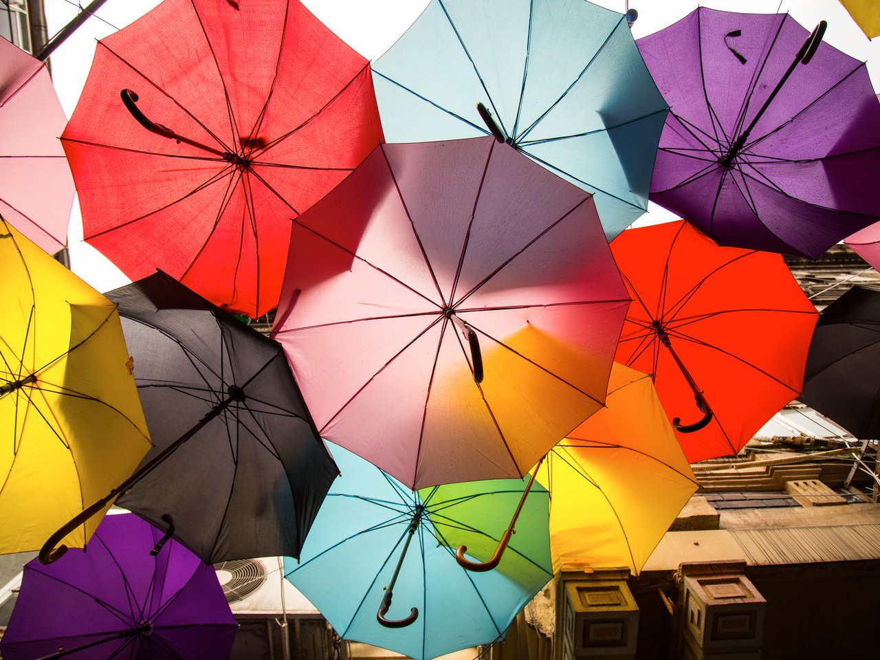 Assorted color umbrellas