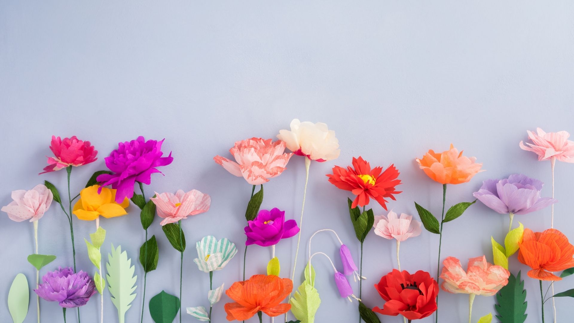 Colored flowers