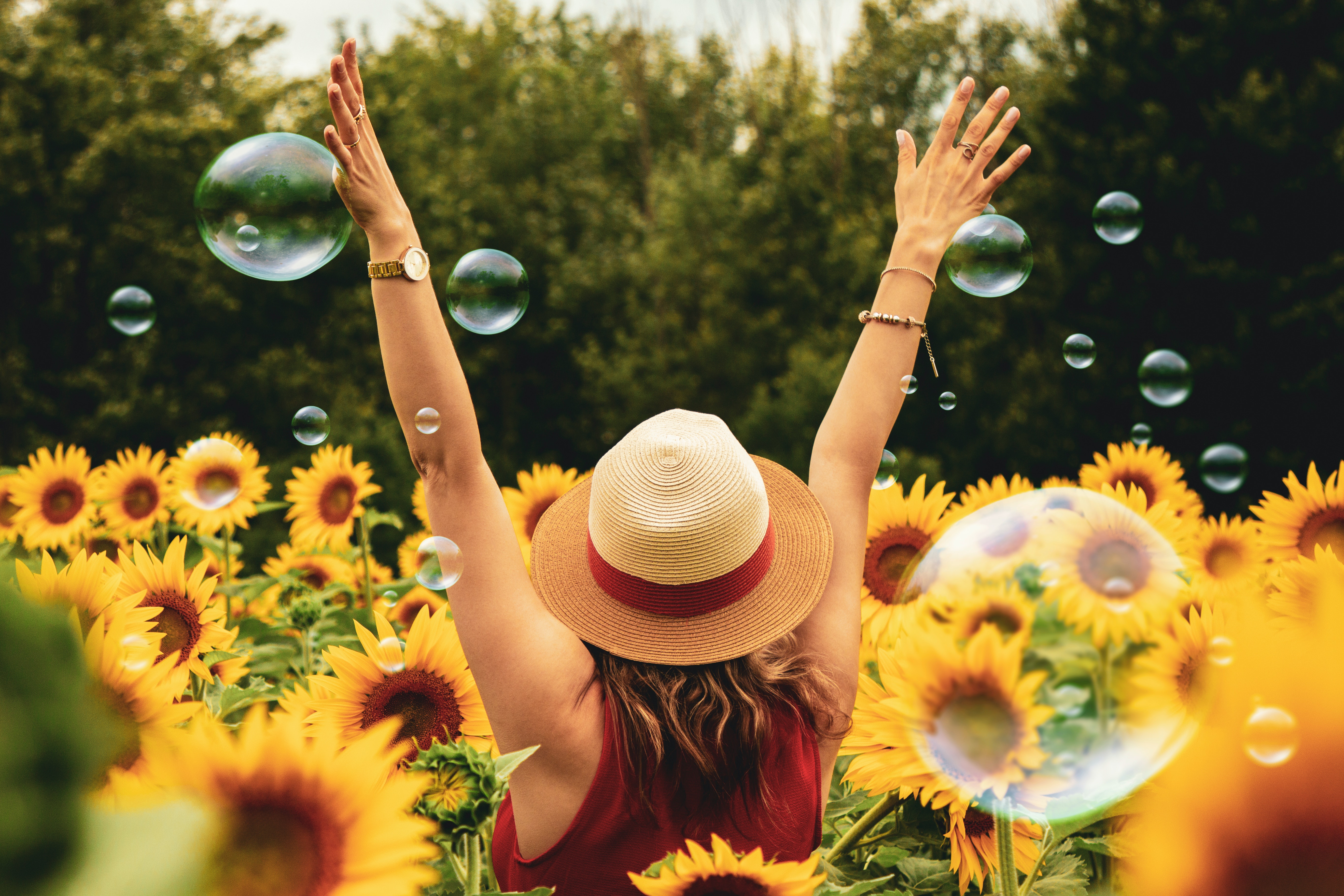 Person raising their arms in air surrounded by sunflowers