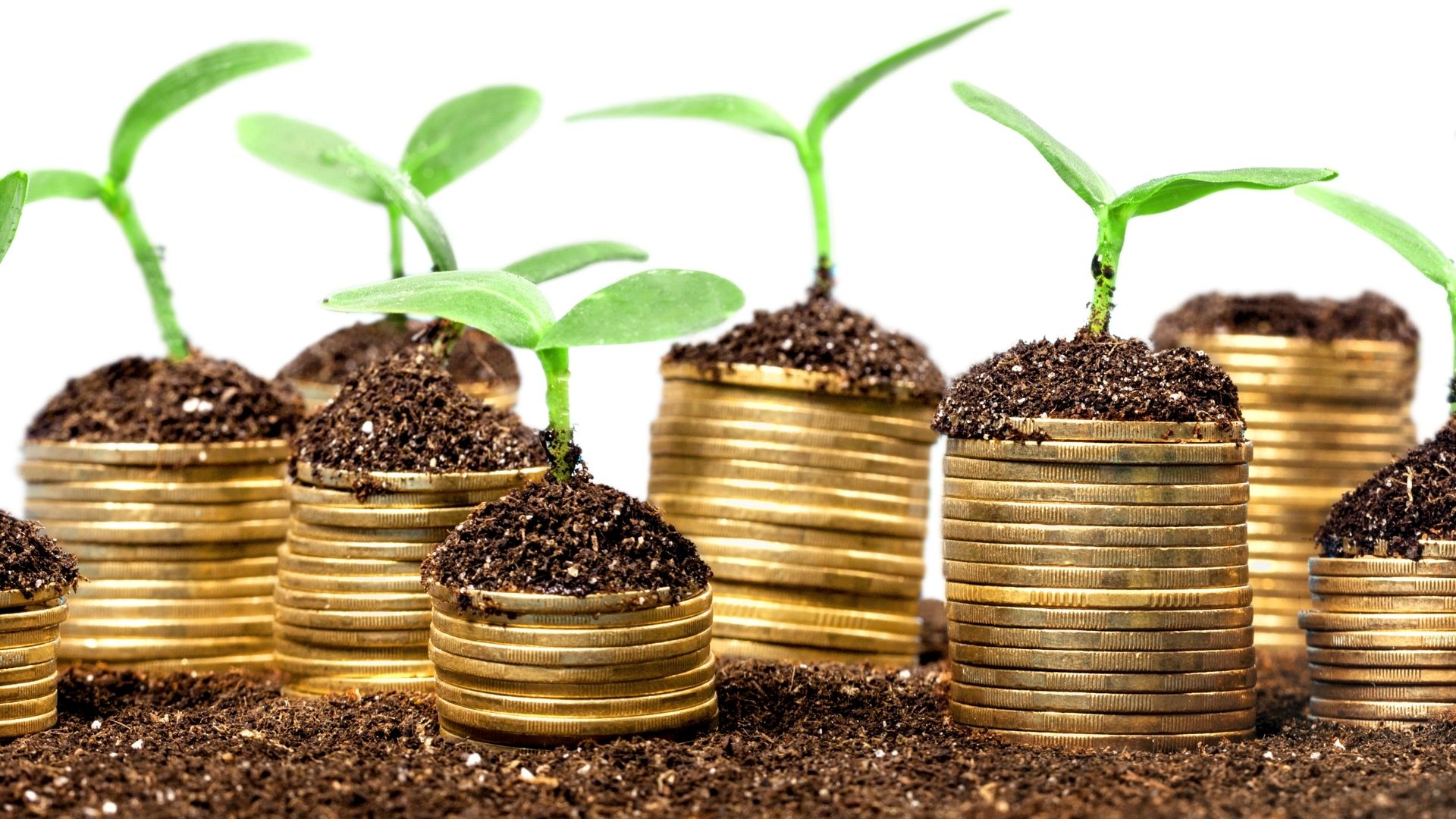 Plants growing from coins