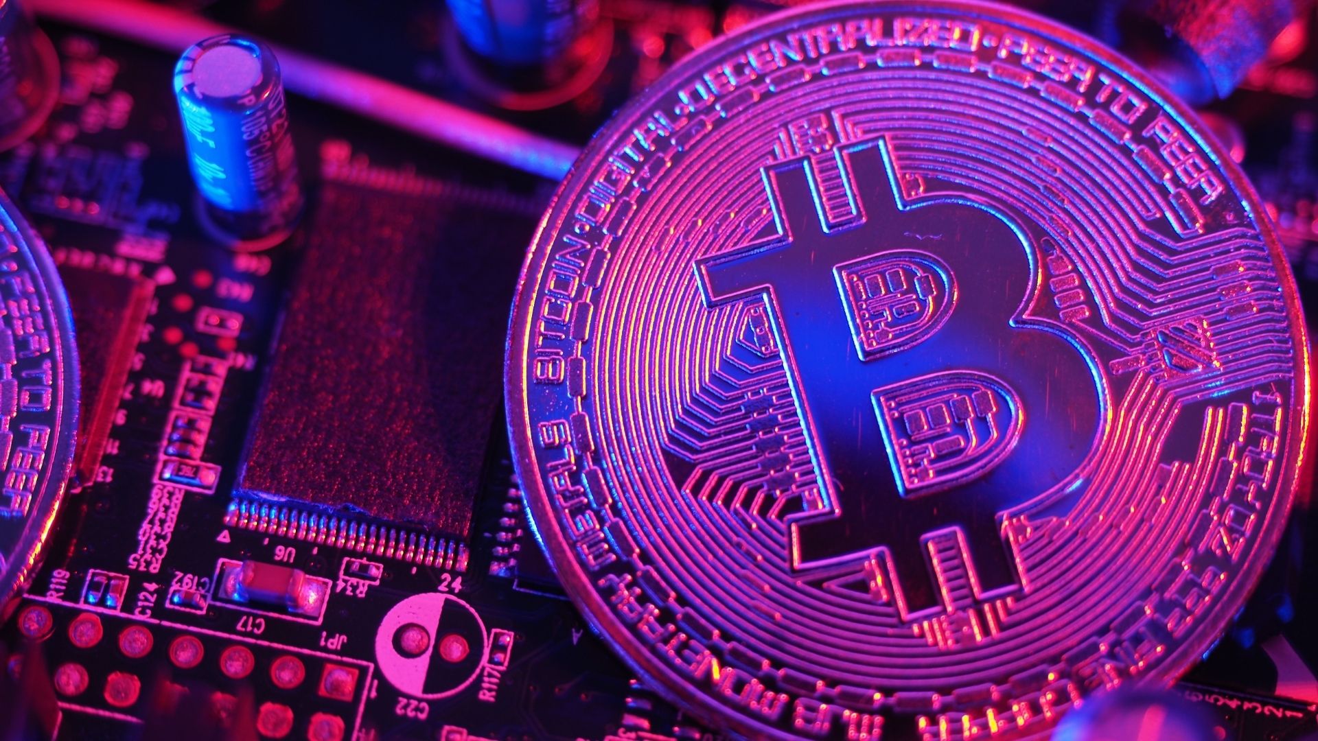 Purple coin bitcoin