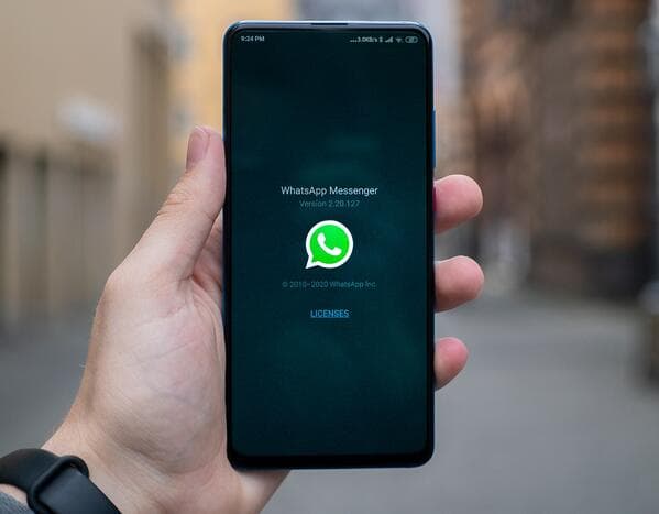 WhatsApp app on smartphone