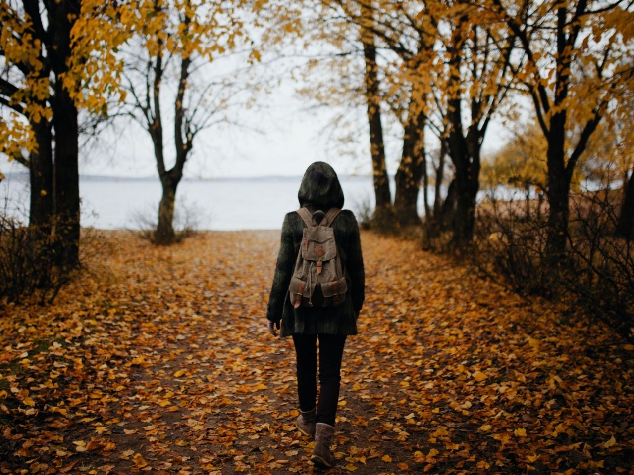 Woman walking o a road of leaves