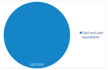 BNZ KiwiSaver Cash Fund Investment Mix