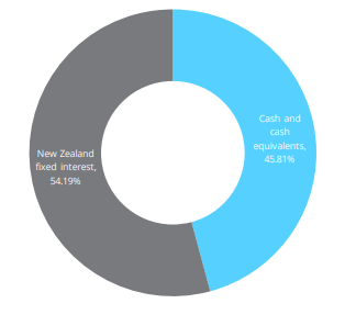 Summer KiwiSaver Cash Fund Investment Mix
