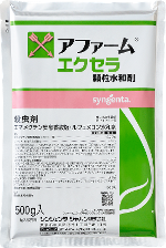 ご確認用　アミスター錦　未発根他 ご確認用 アミスター錦 未発根他 ご確認用 アミスター錦 未発