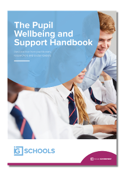 Pupil Wellbeing and Support Handbook