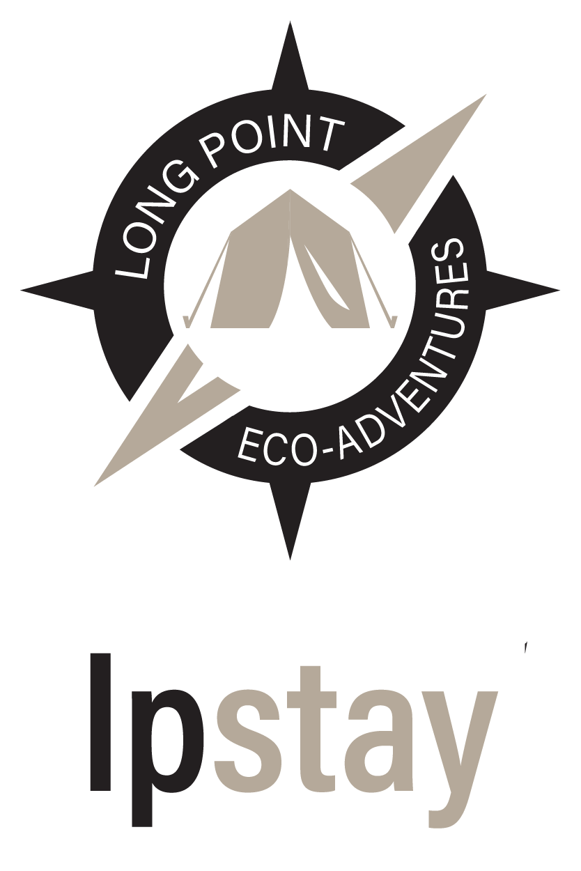 LPstay(withtext)