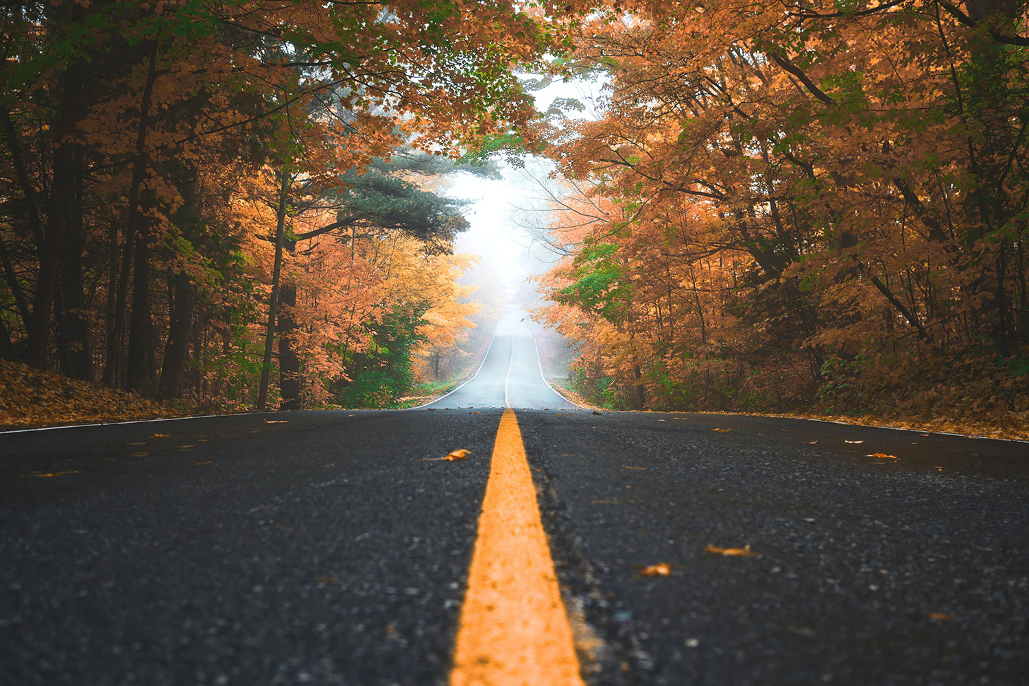 The Buyer’s Journey for Patients