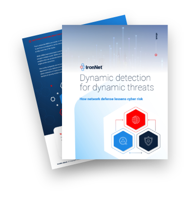 IronNet-NDR eBook-eBook Cover Business Risk