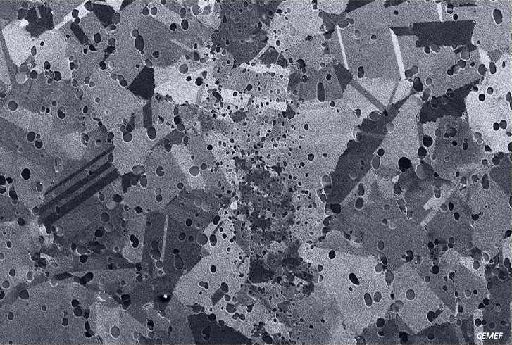 microstructural_evolution_cemef