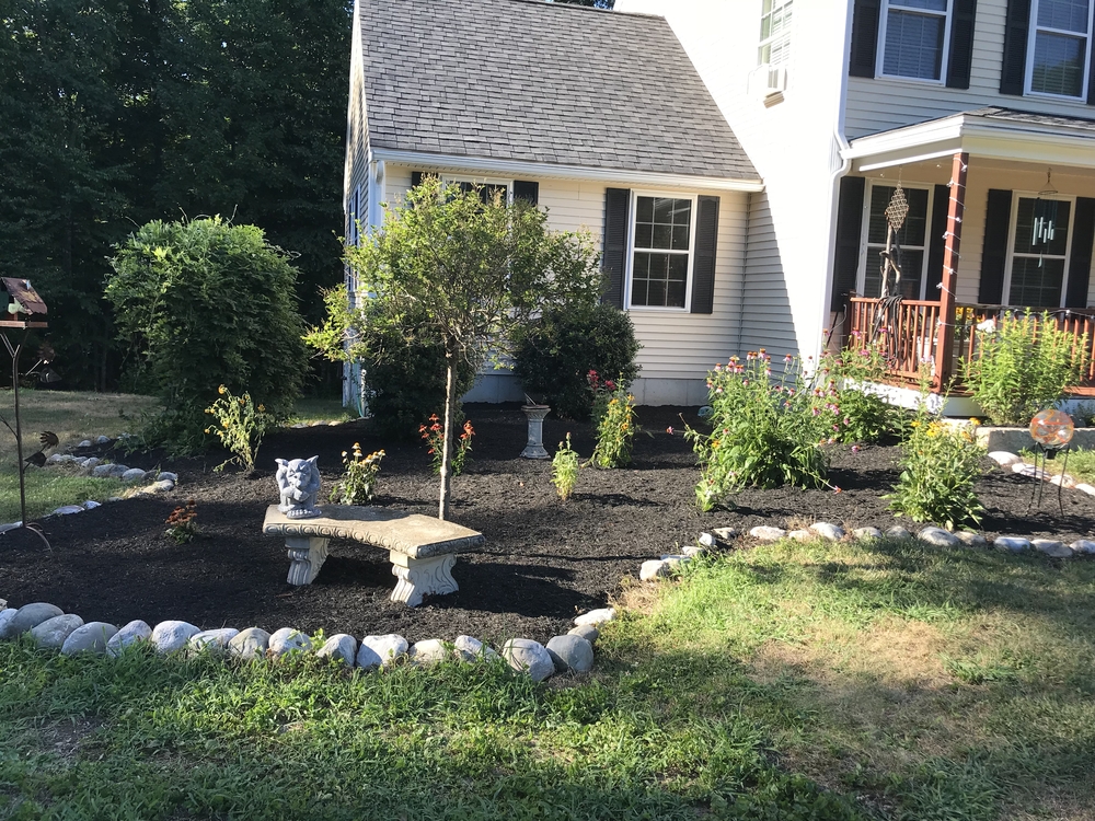 Outdoor garden with natural stone surrounding