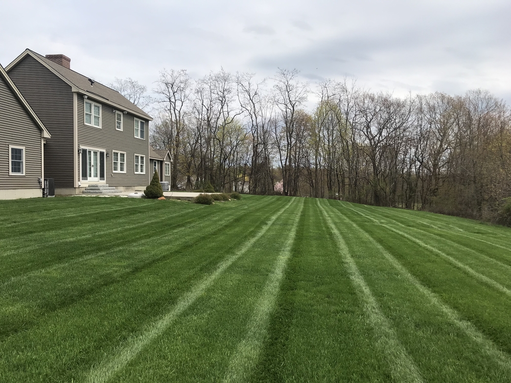 Freshly mowed lawn with stripes