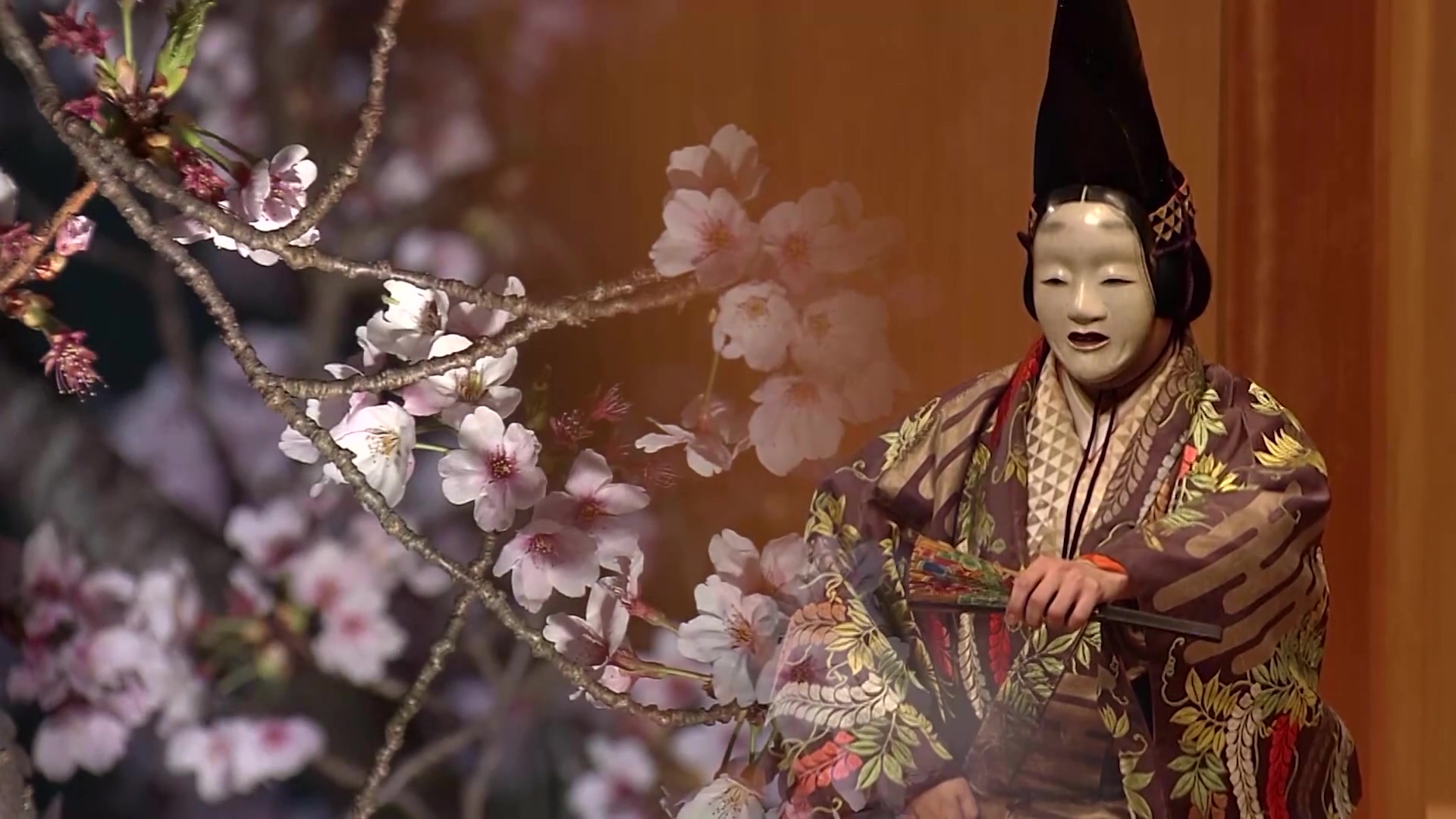 流風の美 [名古屋に生きる狂言装束] 芸艸堂 （教育向け映像