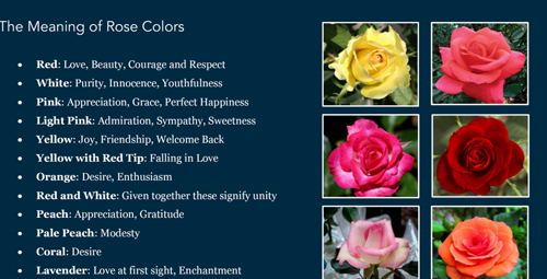 Why Are Red, White, and Pink the Colors of Valentine's Day? - Color Meanings