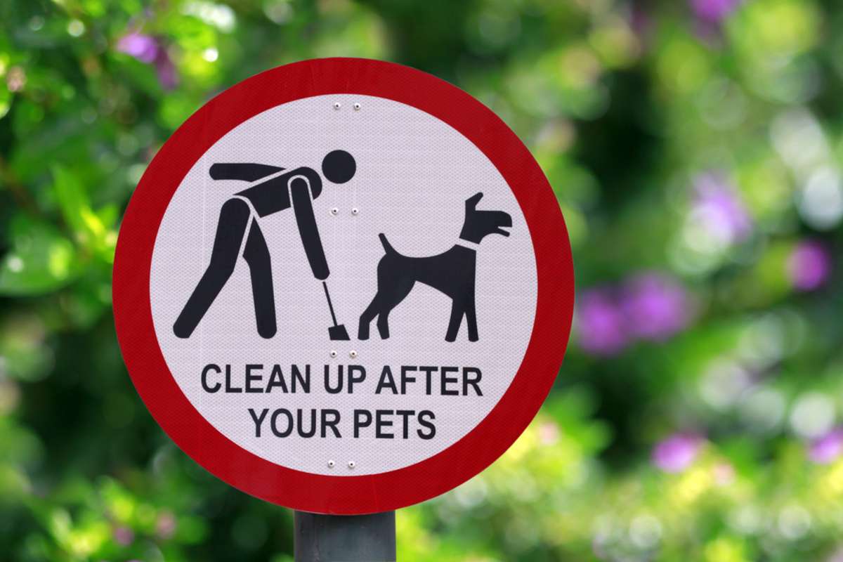 Clean up after your pets sign at the park
