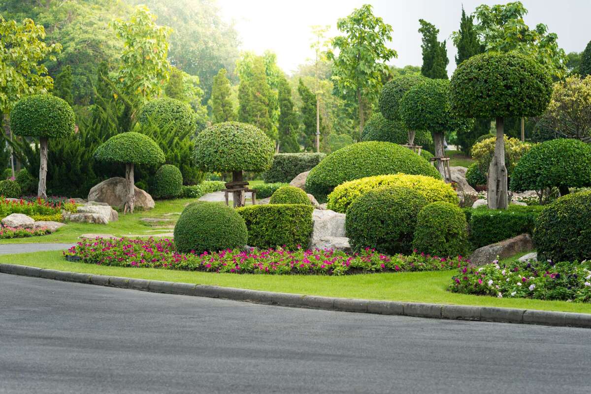 Gardening and Landscaping With Decorative Trees (S) (R)