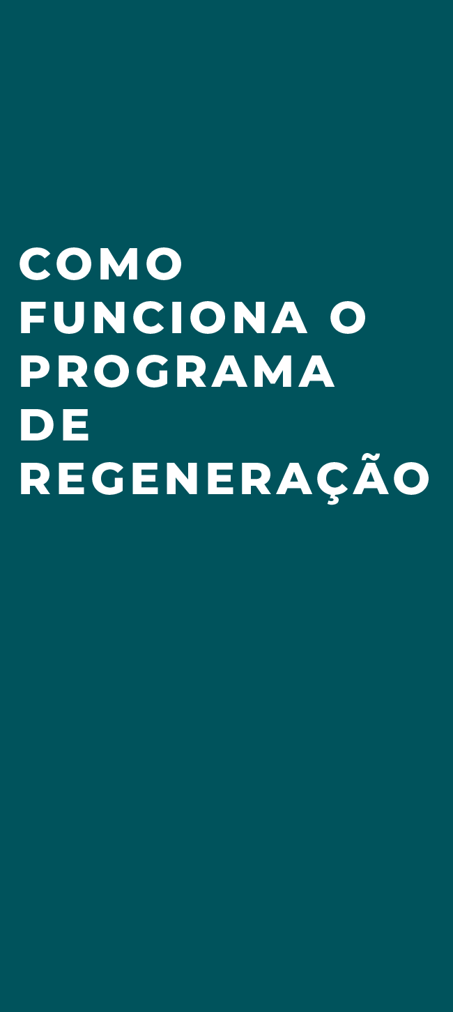 programa regeneração
