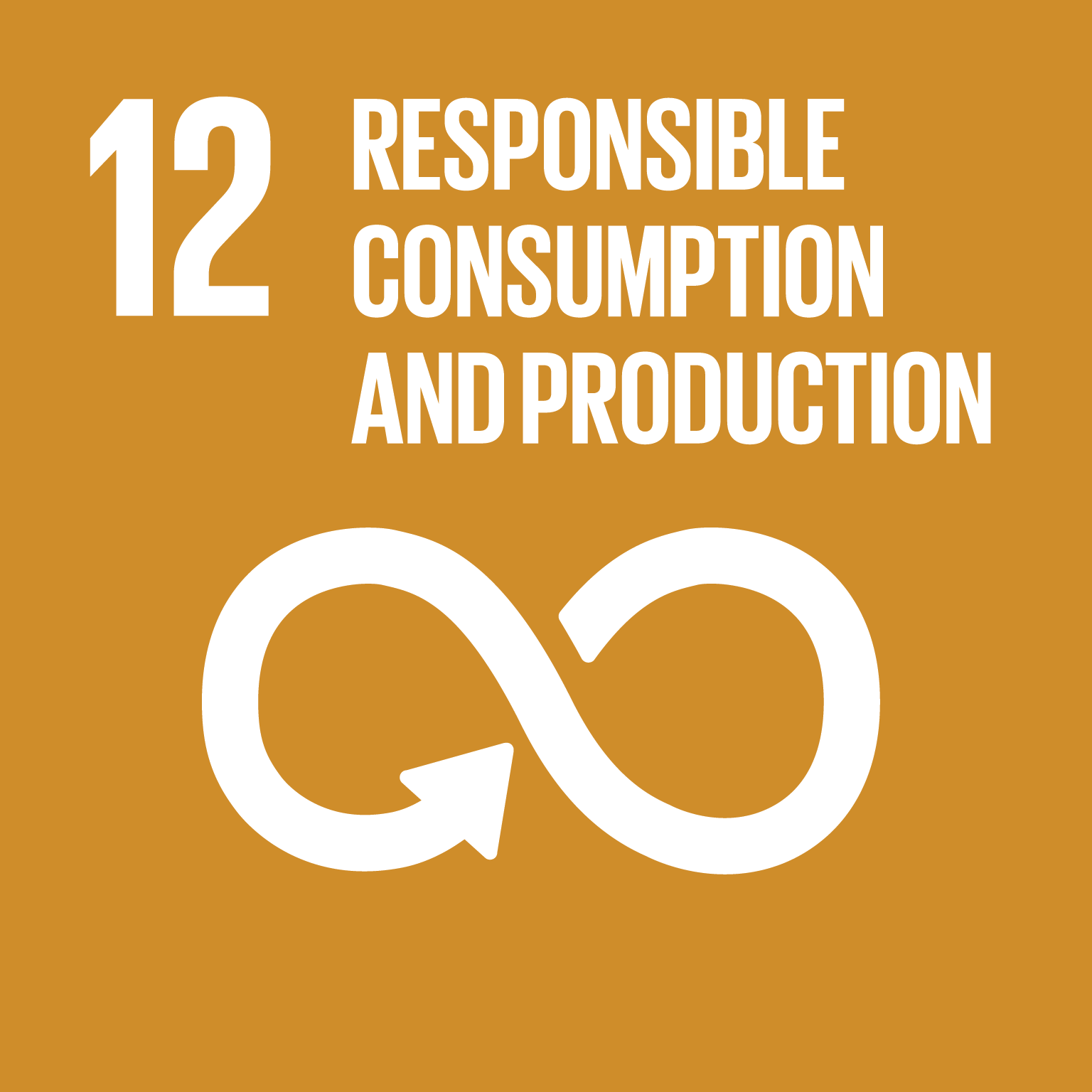 UN Goal 12