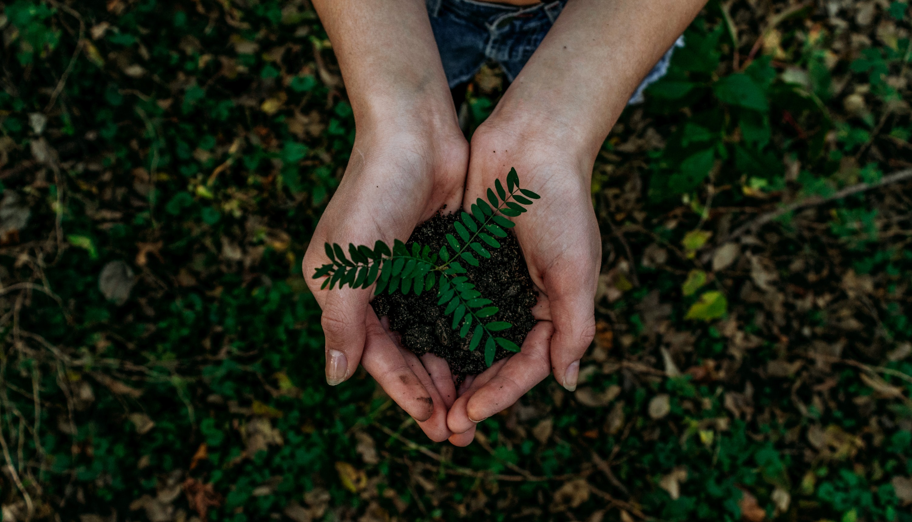 Reusing treated wastewater is an issue of environmental performance