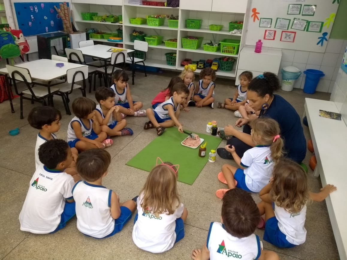 Notícia Colégio Apoio
