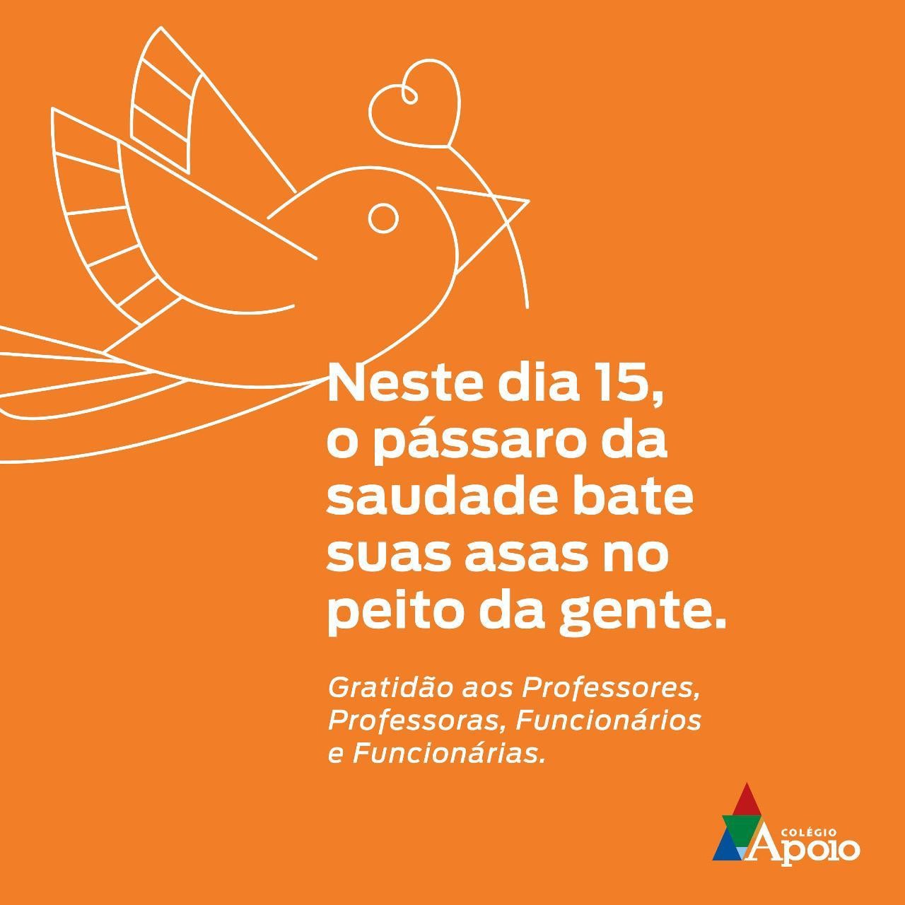 Notícia Colégio Apoio