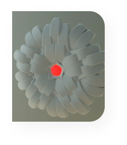 Frame 63