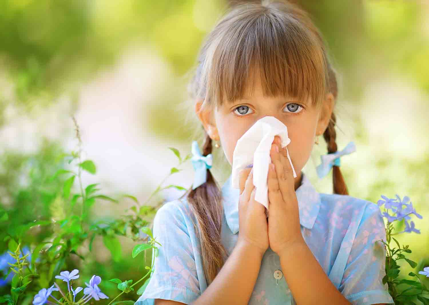 Symptômes et traitements de l’allergie au pollen. 