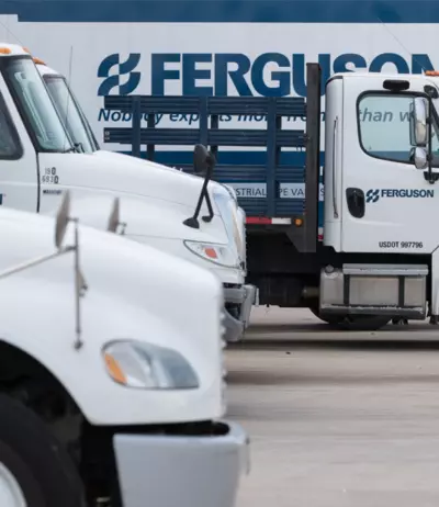 Ferguson case study