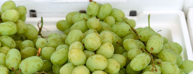 FANOSA-empaque-para-uvas-alimenos-frutos-comida