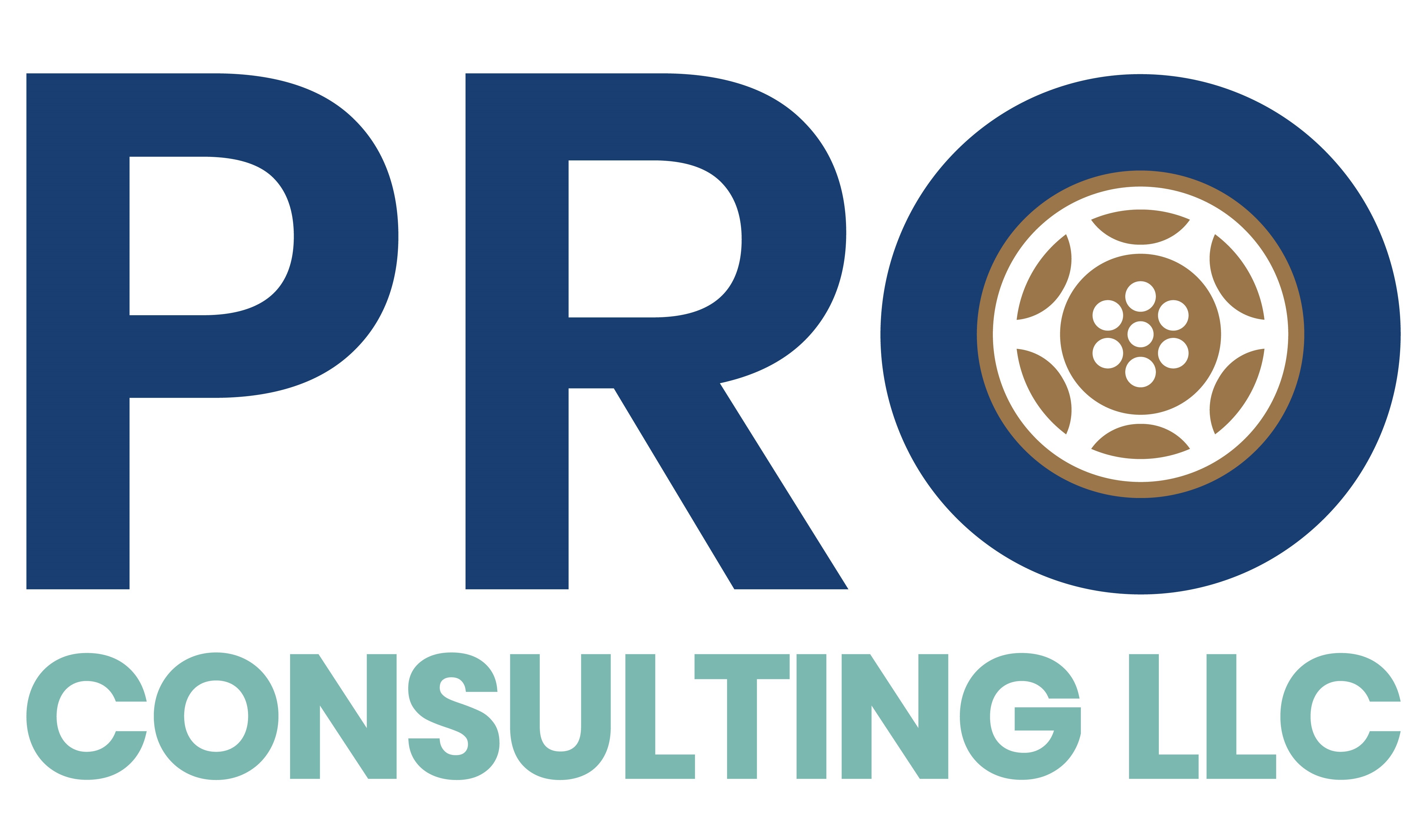 logo-pro-consulting