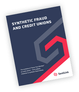 Defining Synthetic Fraud